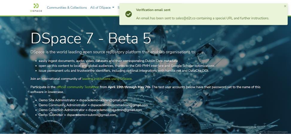 Verification email sent success banner